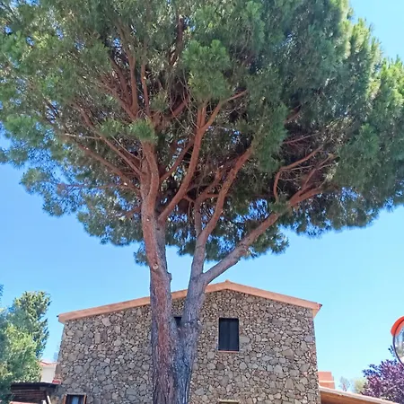 Perla Marina Holiday home